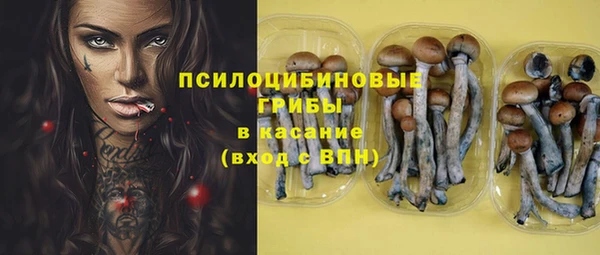 таблы Алзамай