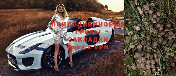 мескалин Алексин