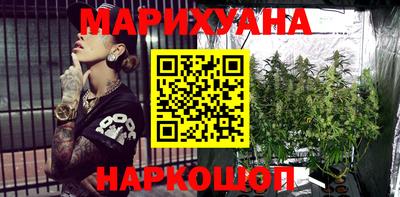 стаф Ставрополь