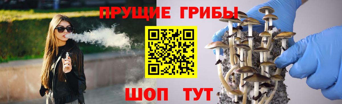 Галлюциногенные грибы Psilocybine cubensis  Вход с VPN  Первоуральск 